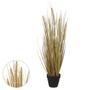 Imagem de Folhagem Capim Grass Com Pote Verde Outono 69cm