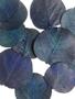 Imagem de Folhas Azul Secas Desidratadas  Decoração Enfeite