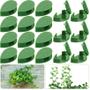 Imagem de Folhas Clips Grampos Adesivos para Fixar Plantas Trepadeiras