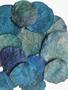 Imagem de Folhas Moeda Azul Piscina Secas Decoração Ornamentação