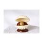 Imagem de Forma de silicone 3 partes concha shell cod-253 bwb