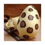 Imagem de Forma especial com silicone 3 partes ovo liso 1kg sp cod 3621 Bwb