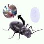 Imagem de Formiga Gigante de Brinquedo Realista Controle Remoto Giant Ant - Well Kids