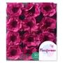 Imagem de Forminha Happy Monulicodo Fucsia
