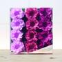 Imagem de Forminhas Happy 3 Tons Seda Lilas/Vinho/Uva