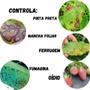 Imagem de Forth Concentrado 30ml Anti Fungos