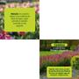 Imagem de Forth Flores Pronto Uso - 500ml