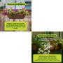 Imagem de Forth Flores Pronto Uso - 500ml