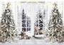 Imagem de Foto: pano de fundo: Alltten White Christmas, 3x2,4m, vinil F107