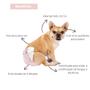 Imagem de Fralda Dogs Care Para Cães Femêas 12 Un M Descartavel Kit-5