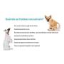 Imagem de Fralda Higiênica Eco Dogs Care Para Cães Machos 24 Unidades - Tamanho M - DogS Care