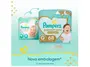 Imagem de Fralda Pampers Premium Care G