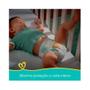 Imagem de Fralda pampers premium care mega xg 26un