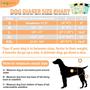 Imagem de Fraldas Laváveis para Cães Langsprit - Pacote com 3 - Sem Vazamentos