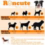 Imagem de Fraldas para cães Roncute, reutilizáveis, de alta absorção, pacote com 3 fraldas femininas
