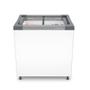 Imagem de Freezer e Expositor Horizontal Metalfrio 185 Litros Branco NF20SBD001 220V