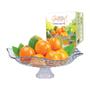Imagem de Fruteira com Pé de Vidro Modena Ruvolo 456101 Sortida