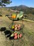 Imagem de Fruteira De 3 Andar Em Madeira E Ferro Ideal Para Cozinha Envio Imediato