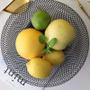 Imagem de Fruteira de Mesa Cesta de Frutas Preta Aramada Redonda Cozinha Decorativa