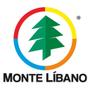Imagem de Fruteira Modular Média Multiuso Com Rodinhas - Monte Líbano