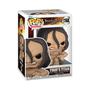 Imagem de Funko Pop! Animação: Attack On Titans - Titã de Ymir