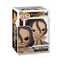 Imagem de Funko POP Attack on Titan - Titã de Ymir (57982)