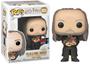 Imagem de Funko POP! Filmes Harry Potter FILCH e SRA. Norris NYCC 2019