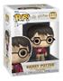 Imagem de Funko Pop Harry Potter Anniversary 132