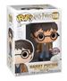 Imagem de Funko Pop Harry Potter (Special Edition) With Two Wands