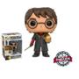 Imagem de Funko Pop! Harry Potter w/ Golden Egg 26 Special Edition