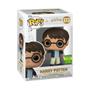 Imagem de Funko Pop! Harry Potter