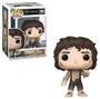 Imagem de Funko Pop Movies The Lord Of The Rings San Diego Comic Con 2023 - Frodo With The Ring 1389