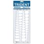 Imagem de Gabarito Elipses Trident 60 Elipses Mod D-12