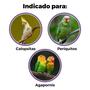 Imagem de Gaiola Criadeira Calopsita Periquito Agapornis Passarinho Pássaros Aves Completa Grande Com Ninho Viveiro Voadeira Luxo