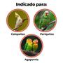 Imagem de Gaiola Criadeira Calopsita Periquito Agapornis Passarinho Pássaros Aves Completa Grande Com Ninho Viveiro Voadeira Luxo