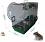 Imagem de Gaiola Para Hamster 3 Andares Roedores Tubo Labirinto