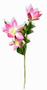Imagem de Galho Haste com 3 Mini Magnolia - Rosa 65cm