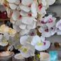 Imagem de Galho Orquídea Branca 9 Flores Realistas Toque Real Premium Haste 95cm - Vivaflor Decor