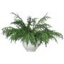 Imagem de Galhos de Natal artificiais Jutom Norfolk Pine 76 cm 12 unidades