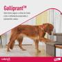 Imagem de Galliprant 100mg Elanco Cães 30 Comprimido Anti-inflamatório