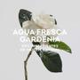 Imagem de Gardenia Musk Adolfo Dominguez - Perfume Feminino - Eau de Toilette