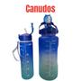 Imagem de Garrafa 2 litros + garrafa 900 ml Squeeze Academia c/ Alça