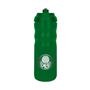 Imagem de Garrafa Brasfoot Palmeiras Top 550Ml