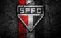 Imagem de Garrafa Com Mochila Tipo Saco Time São Paulo Spfc 450 Ml Cor