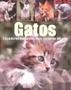 Imagem de Gatos. Caçadores Elegantes com Pata de Veludo