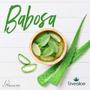 Imagem de Gel De Babosa Aloe Vera Puro 500Ml - Orgânico