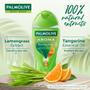 Imagem de Gel de banho Palmolive Aroma Morning Tonic 250ml