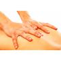 Imagem de Gel de massagem Óleo de Peixe Elétrico pote 250 gramas