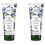 Imagem de Gel Modelador de Cabelo Herbal Essences Totally Twisted - 2 Unidades de 180ml