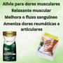 Imagem de Gel Vencedor + Gel Massageador FitoSport Gel de Arnica Fitogel